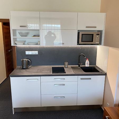 Apartmany Wellness Frymburk Eksteriør billede