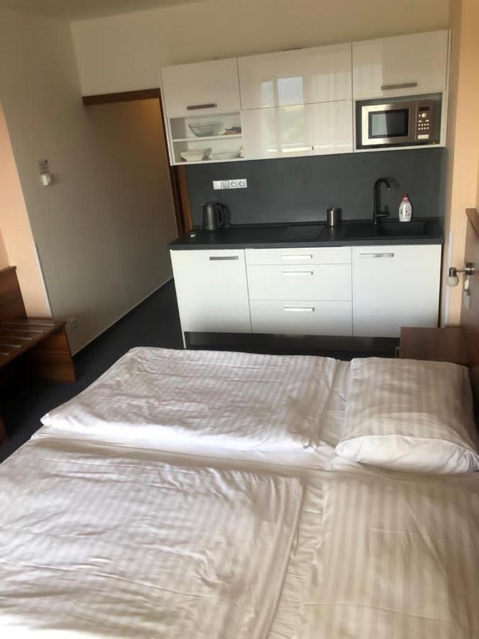 Apartmany Wellness Frymburk Eksteriør billede