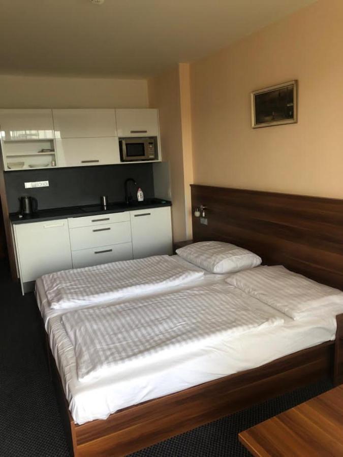 Apartmany Wellness Frymburk Eksteriør billede